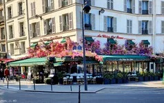 IMG20230303122045.jpg
